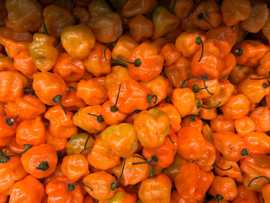 Yucatáni habanero chili, őrölt
